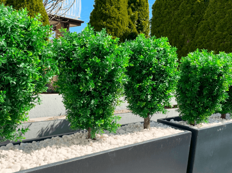 Artificial Shrubs & Plants