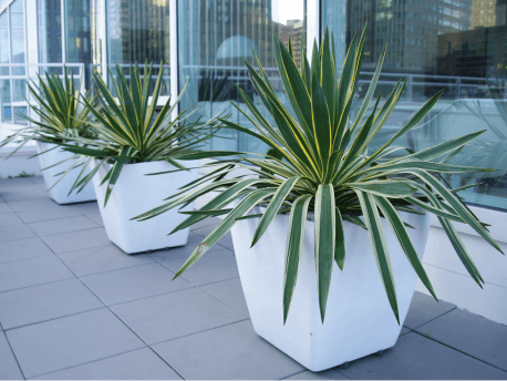 Fiberglass Planters