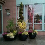 Allscapes Landscape Design
