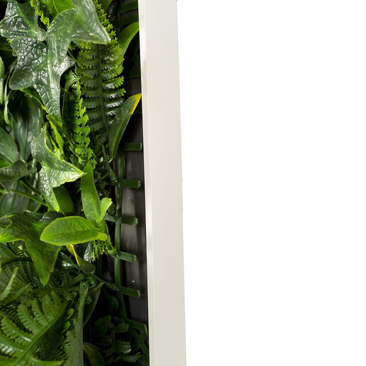 Rectangular-Greenwall-12-60-side-1200-px